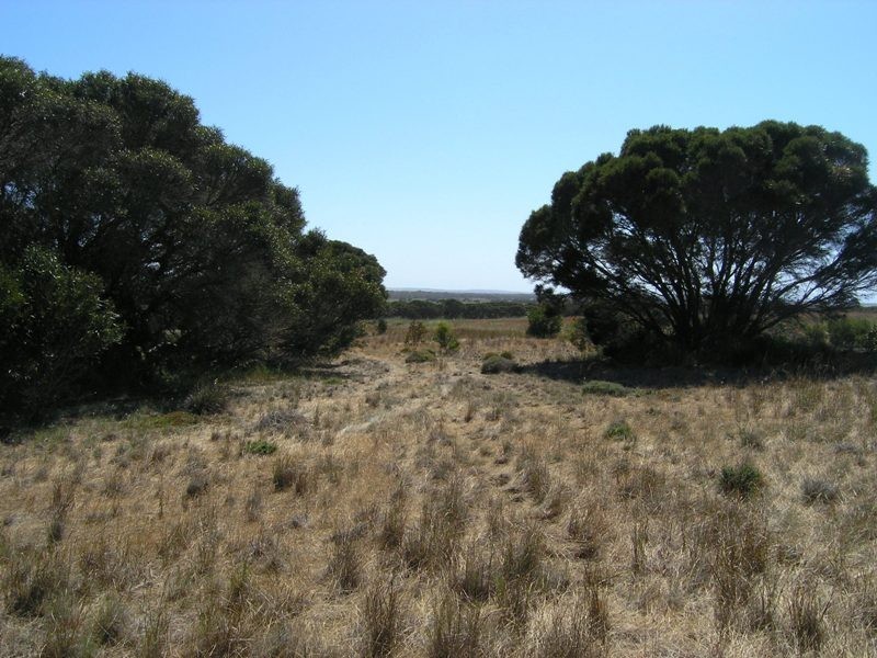 Lot 51 Birchmore Road, Birchmore, Kingscote SA 5223