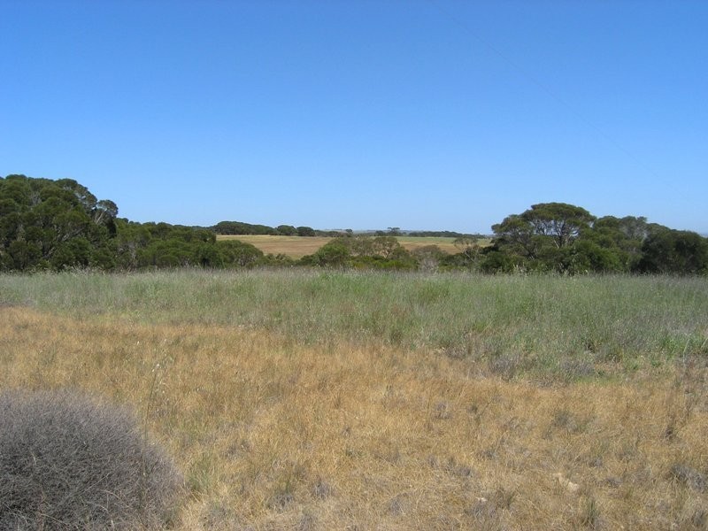 Lot 51 Birchmore Road, Birchmore, Kingscote SA 5223