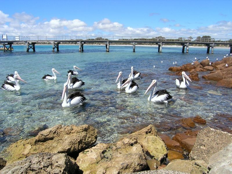 Lot 22 Hamilton Drive, Emu Bay SA 5223