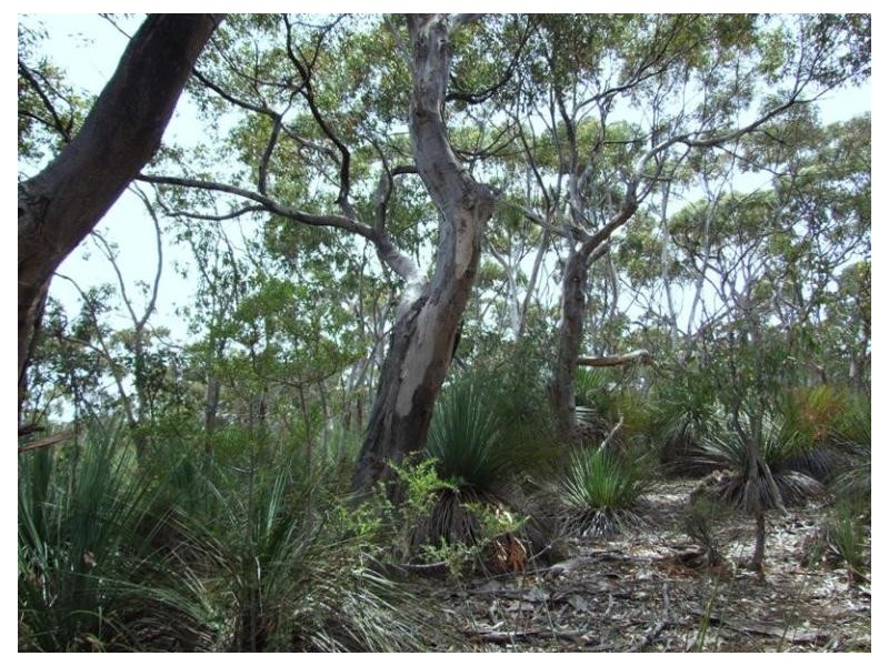 Ptn of Sec 25 Gosse-Ritchie Road, Karatta SA 5223