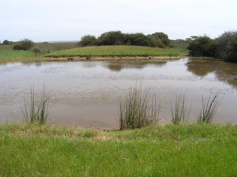 Ptn of Sec 25 Gosse-Ritchie Road, Karatta SA 5223