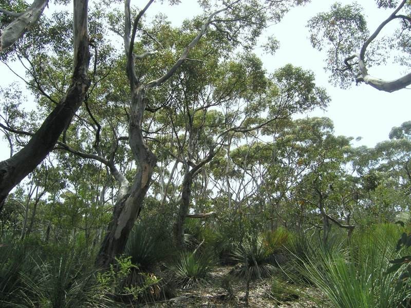 Ptn of Sec 25 Gosse-Ritchie Road, Karatta SA 5223