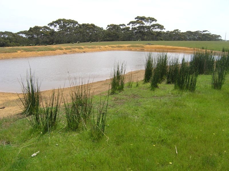 Ptn of Sec 25 Gosse-Ritchie Road, Karatta SA 5223