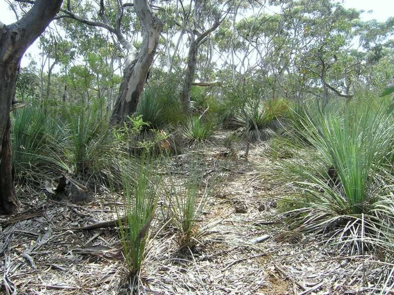 Ptn of Sec 25 Gosse-Ritchie Road, Karatta SA 5223