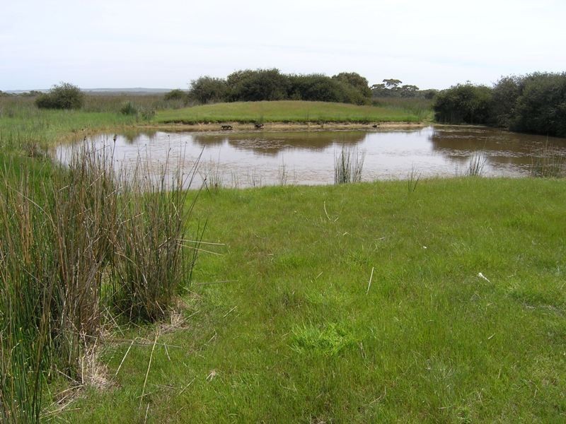 Ptn of Sec 25 Gosse-Ritchie Road, Karatta SA 5223