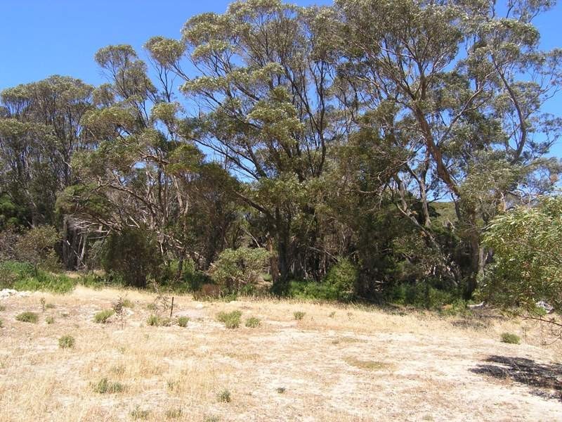 Lot 167 Hog Bay Road, Baudin Beach SA 5222
