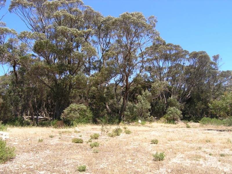 Lot 167 Hog Bay Road, Baudin Beach SA 5222