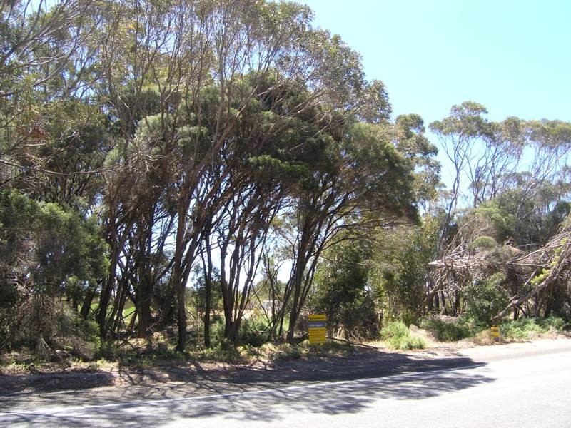 Lot 167 Hog Bay Road, Baudin Beach SA 5222