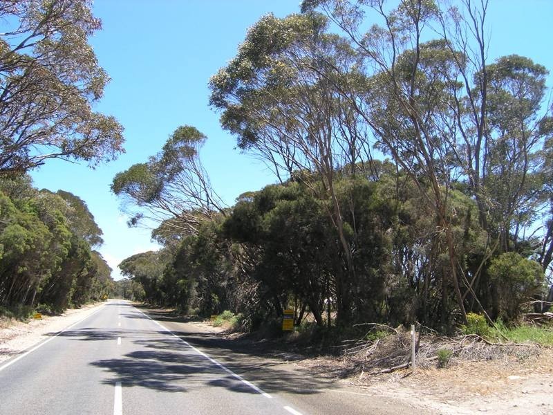 Lot 167 Hog Bay Road, Baudin Beach SA 5222