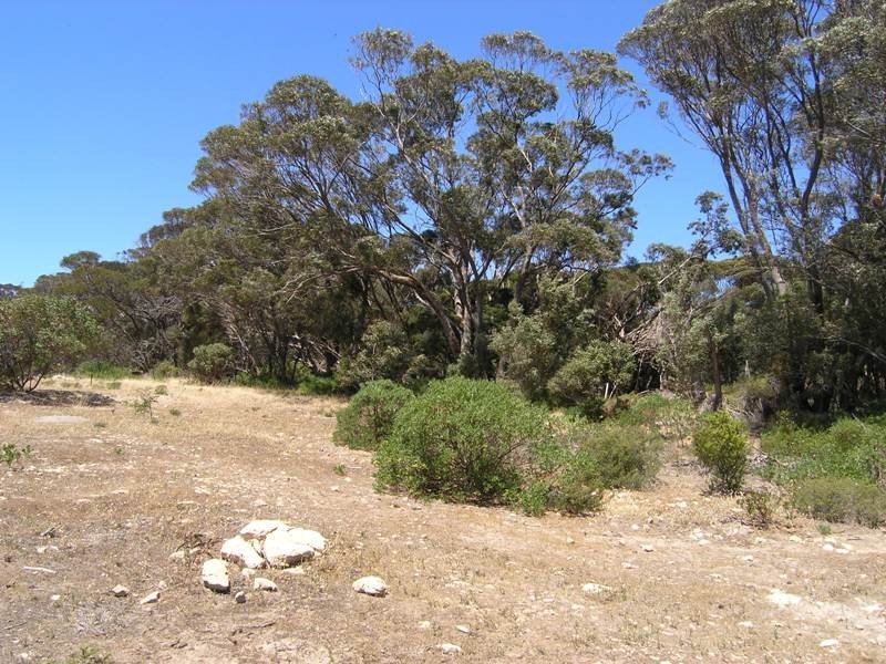 Lot 167 Hog Bay Road, Baudin Beach SA 5222