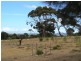Lot 501 Warawee Road, American River SA 5221