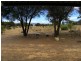 Lot 501 Warawee Road, American River SA 5221