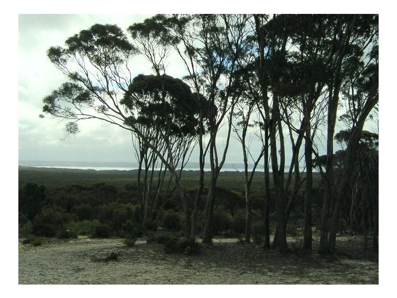 Ptn Lot 50 Sandhurst Road, Dudley West, Penneshaw SA 5222