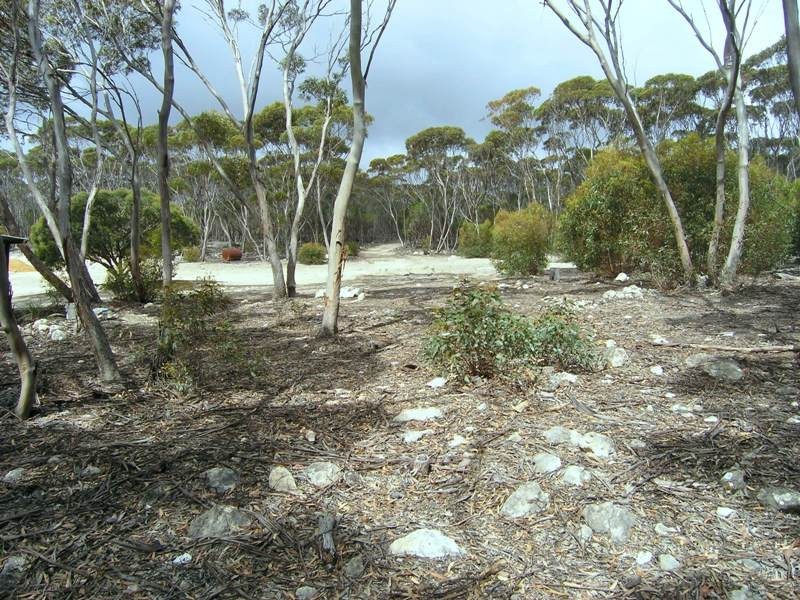 Ptn Lot 50 Sandhurst Road, Dudley West, Penneshaw SA 5222