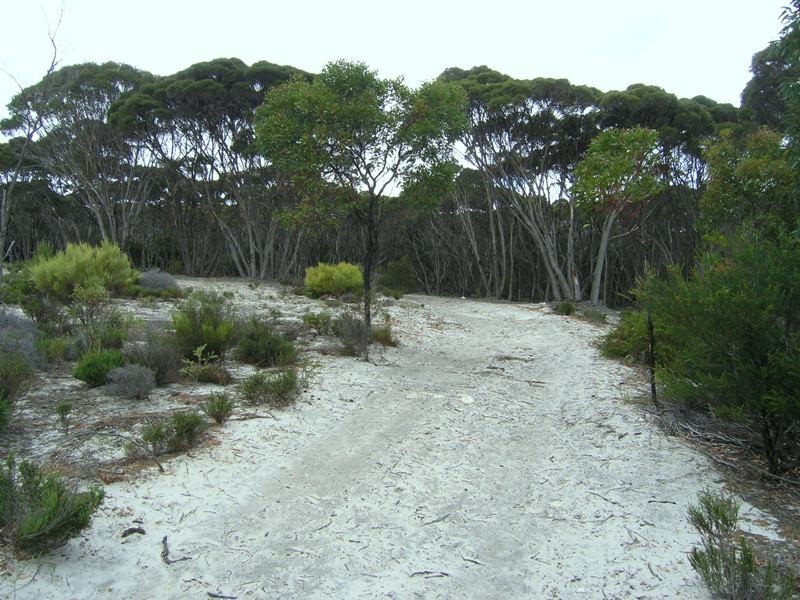 Ptn Lot 50 Sandhurst Road, Dudley West, Penneshaw SA 5222