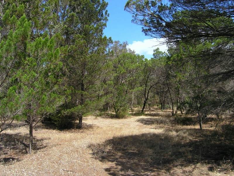 Sec 140 Links Road, Brownlow, Kingscote SA 5223