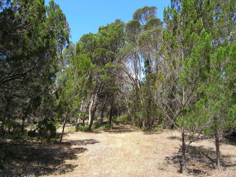 Sec 140 Links Road, Brownlow, Kingscote SA 5223