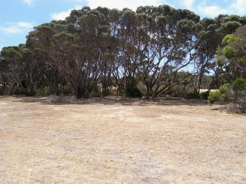 Lot 8 Sea Eagle Way, American River SA 5221
