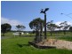 Lot 8 Sea Eagle Way, American River SA 5221