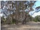 Lot 8 Sea Eagle Way, American River SA 5221