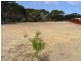 Lot 8 Sea Eagle Way, American River SA 5221