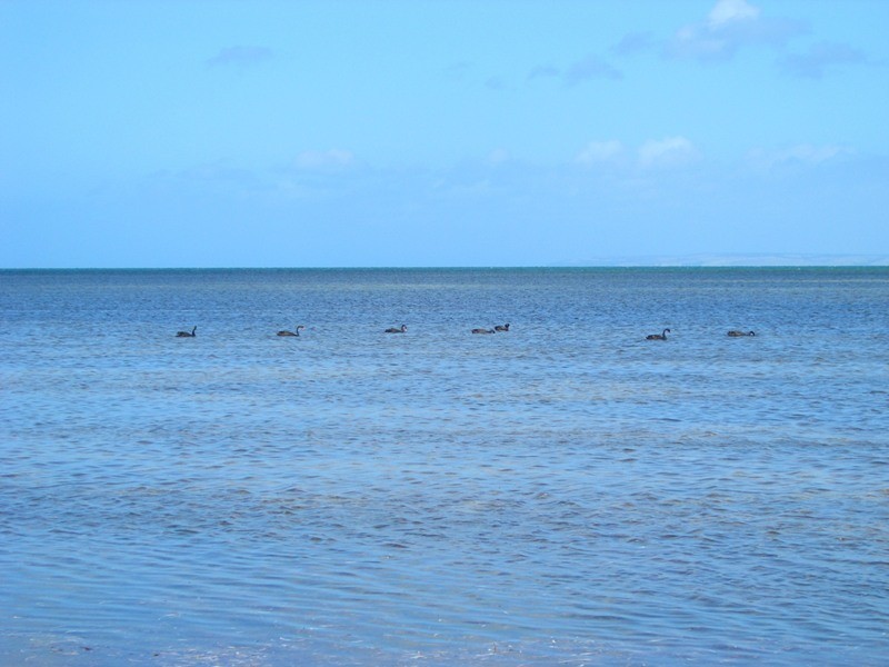 Lot 16 North West Terrace, BROWNLOW, Kingscote SA 5223