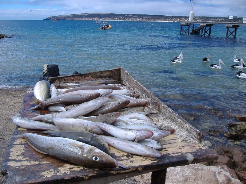 Lot 50 Emu Bay Road, Emu Bay SA 5223