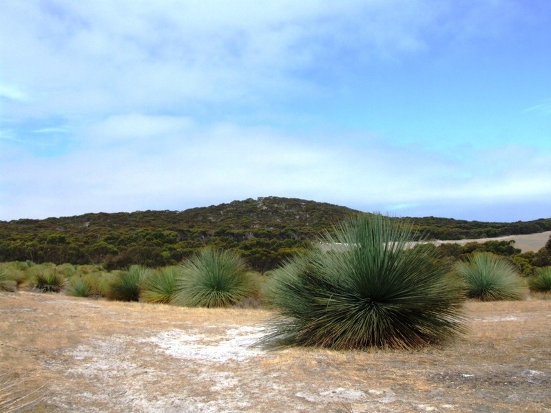 Lot 2 Hog Bay Road,, Haines SA 5223