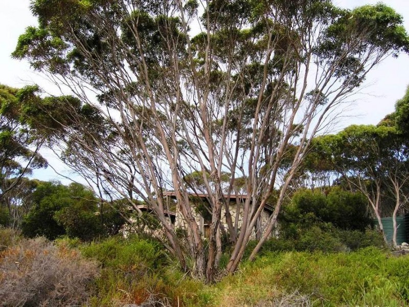 Lot 2 Hog Bay Road, Hd Haines, American River SA 5221