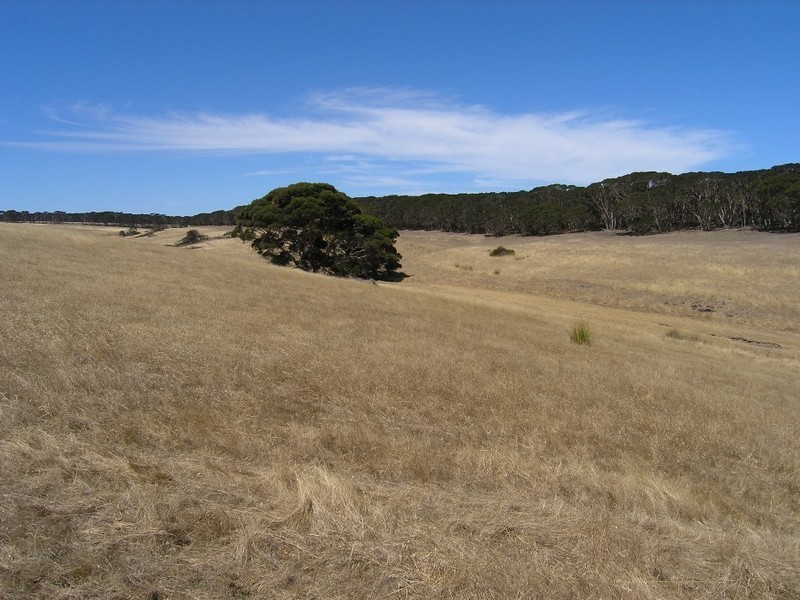 Lot 22 Rifle Range Road, Penneshaw SA 5222