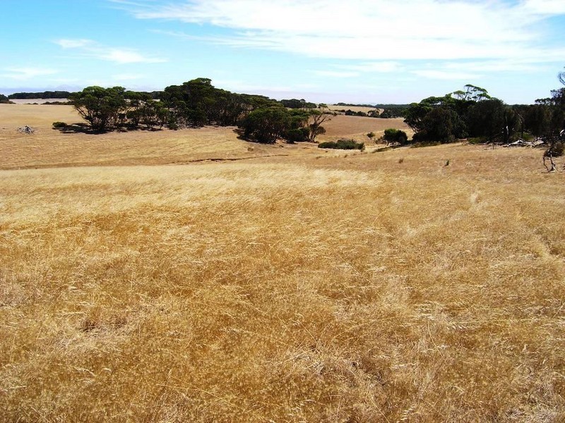 Lot 22 Rifle Range Road, Penneshaw SA 5222