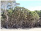 Lot 22 Rifle Range Road, Penneshaw SA 5222
