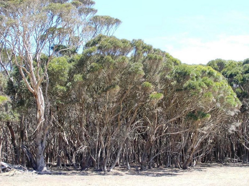 Lot 22 Rifle Range Road, Penneshaw SA 5222