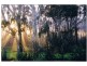 Lot 5 Birchmore Highway, Kingscote SA 5223