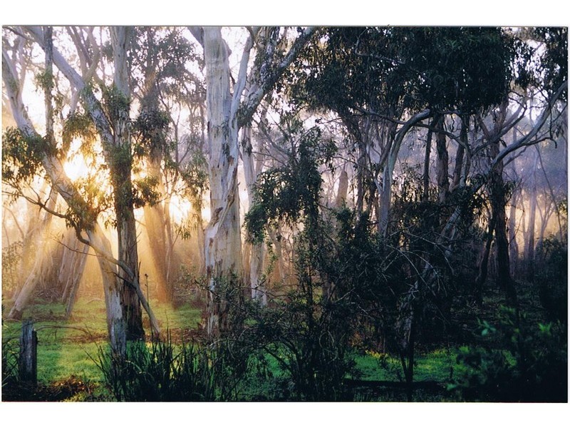 Lot 5 Birchmore Highway, Kingscote SA 5223