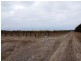 Lot 5 Birchmore Highway, Kingscote SA 5223