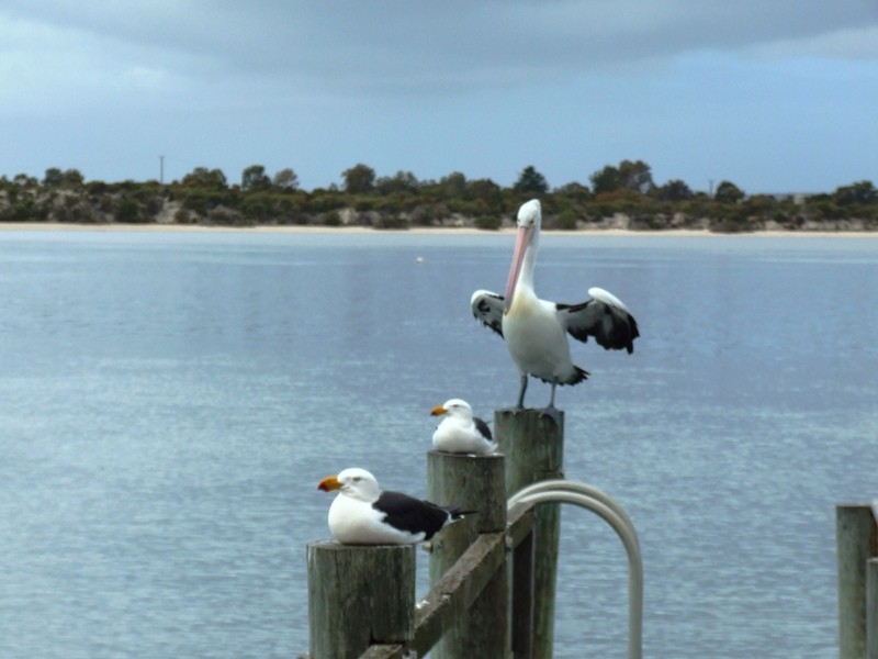 Lot 26 Tangara Drive, American River SA 5221