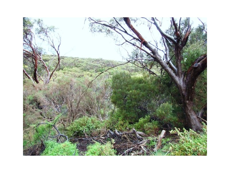 Lot 184 Flinders Avenue, Vivonne Bay SA 5223