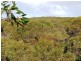 Lot 1 Graham Road, Seal Bay SA 5223
