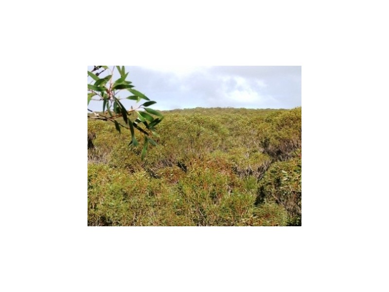 Lot 1 Graham Road, Seal Bay SA 5223