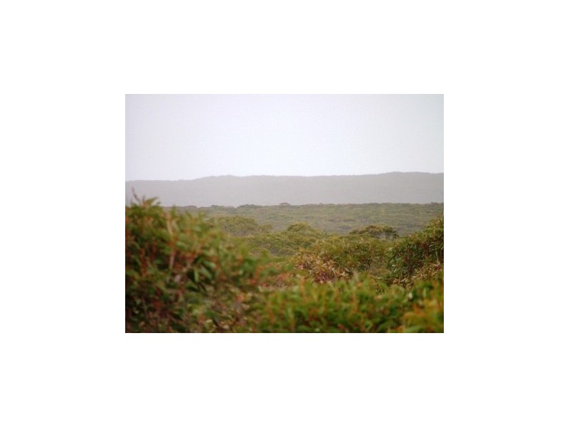 Lot 1 Graham Road, Seal Bay SA 5223