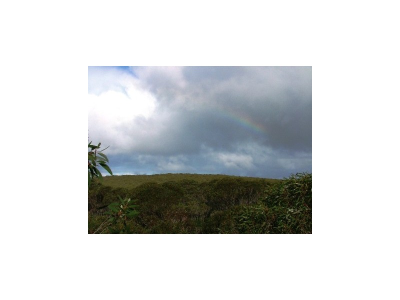 Lot 1 Graham Road, Seal Bay SA 5223