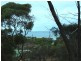 LOT 6 FALIE COURT, American River SA 5221