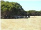 LOT 53 BOMB ALLEY ROAD, Macgillivray SA 5223