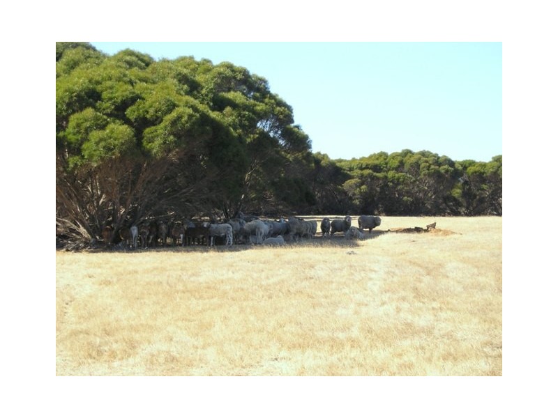 LOT 53 BOMB ALLEY ROAD, Macgillivray SA 5223