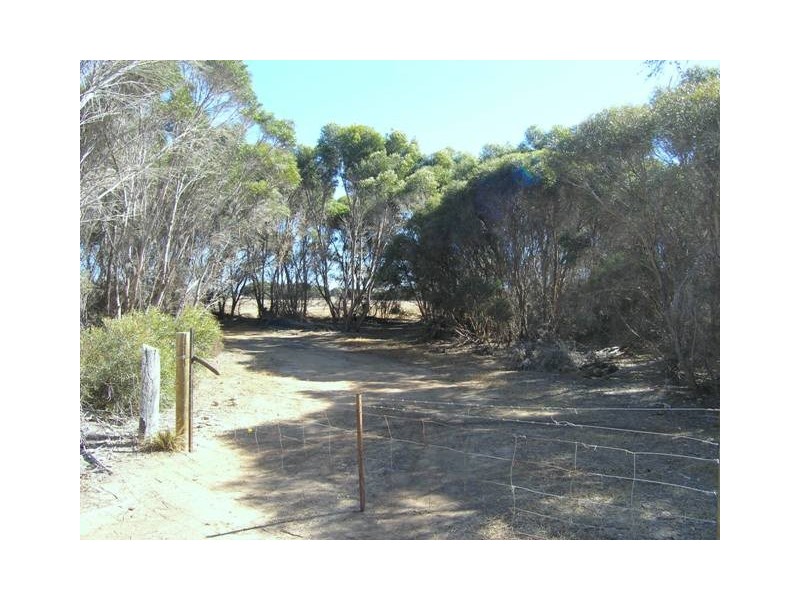 LOT 53 BOMB ALLEY ROAD, Macgillivray SA 5223