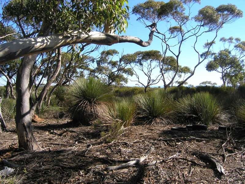 SEC 140  Hummock Rd CASSINI, Kingscote SA 5223