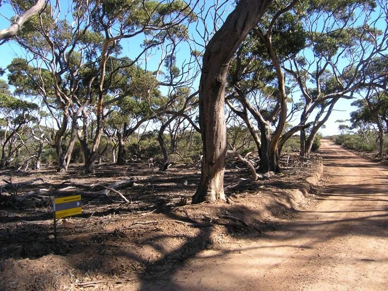 SEC 140  Hummock Rd CASSINI, Kingscote SA 5223