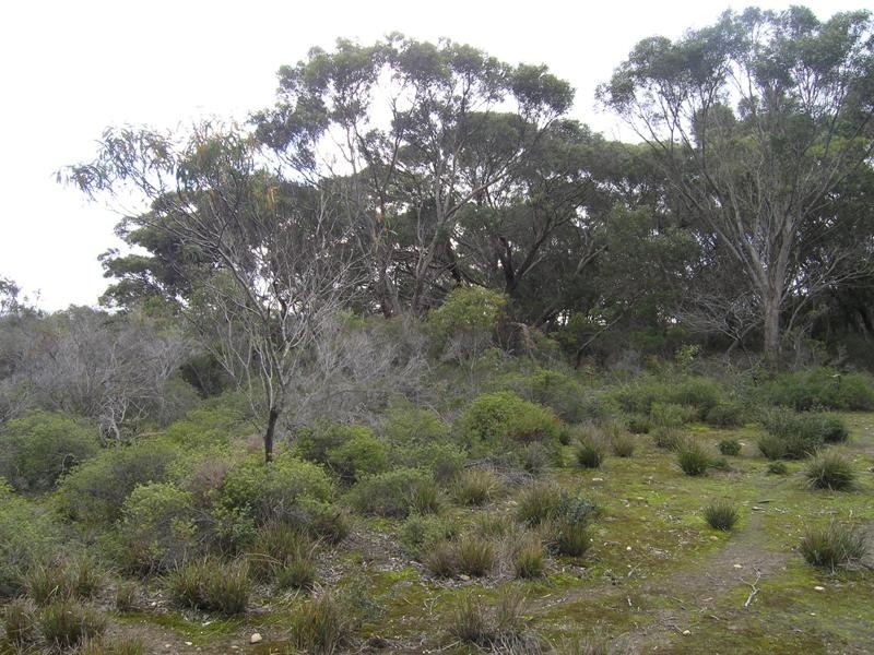 LOT 28 ARAFURA AVENUE, Island Beach SA 5222