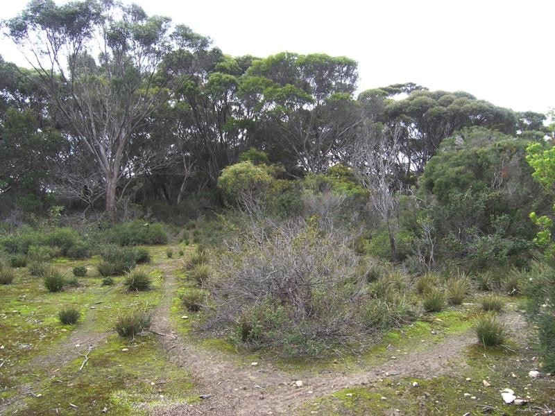 LOT 28 ARAFURA AVENUE, Island Beach SA 5222